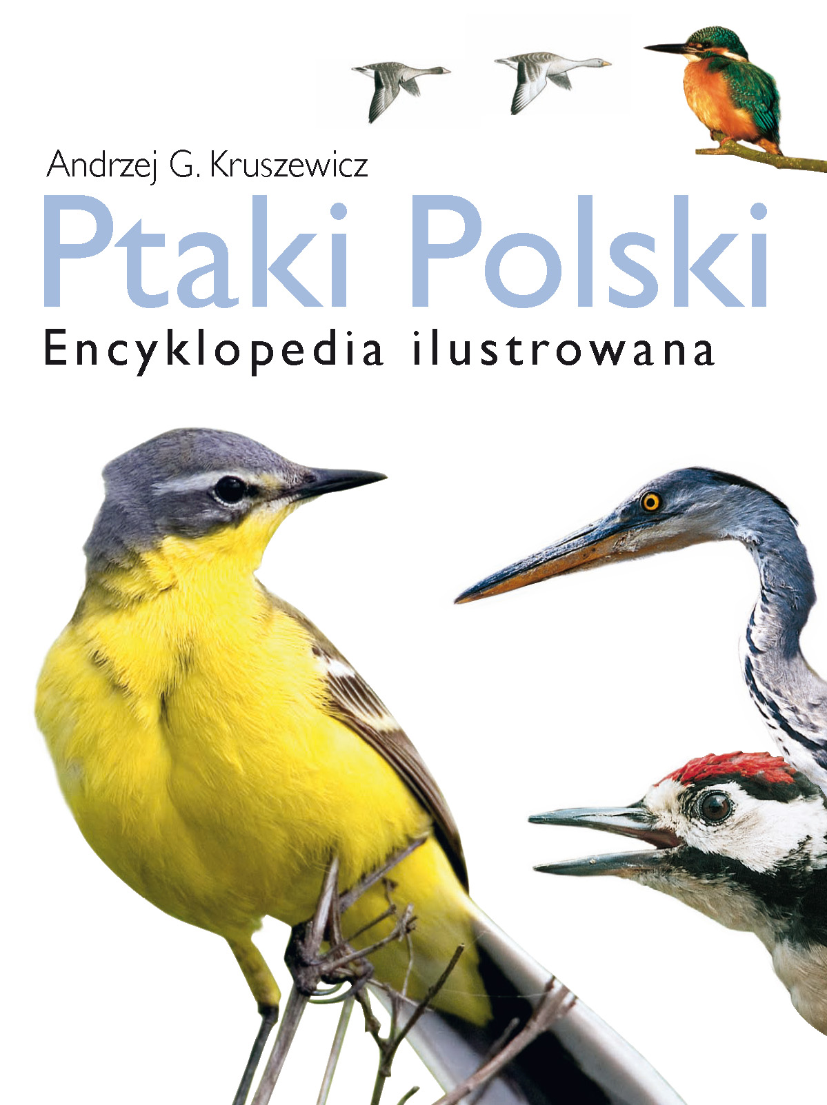 EBook Ptaki Polski. Encyklopedia Ilustrowana Pdf | TaniaKsiazka.pl