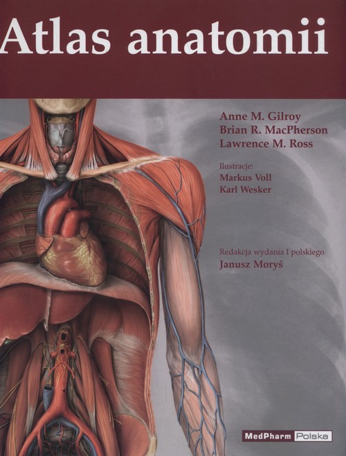 Atlas Anatomii Anne M Gilroy Książka W Księgarni Taniaksiazkapl 4131