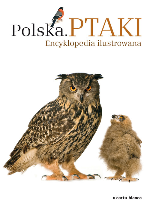 Polska Ptaki Encyklopedia Ilustrowana Michał Radziszewski Książka ...